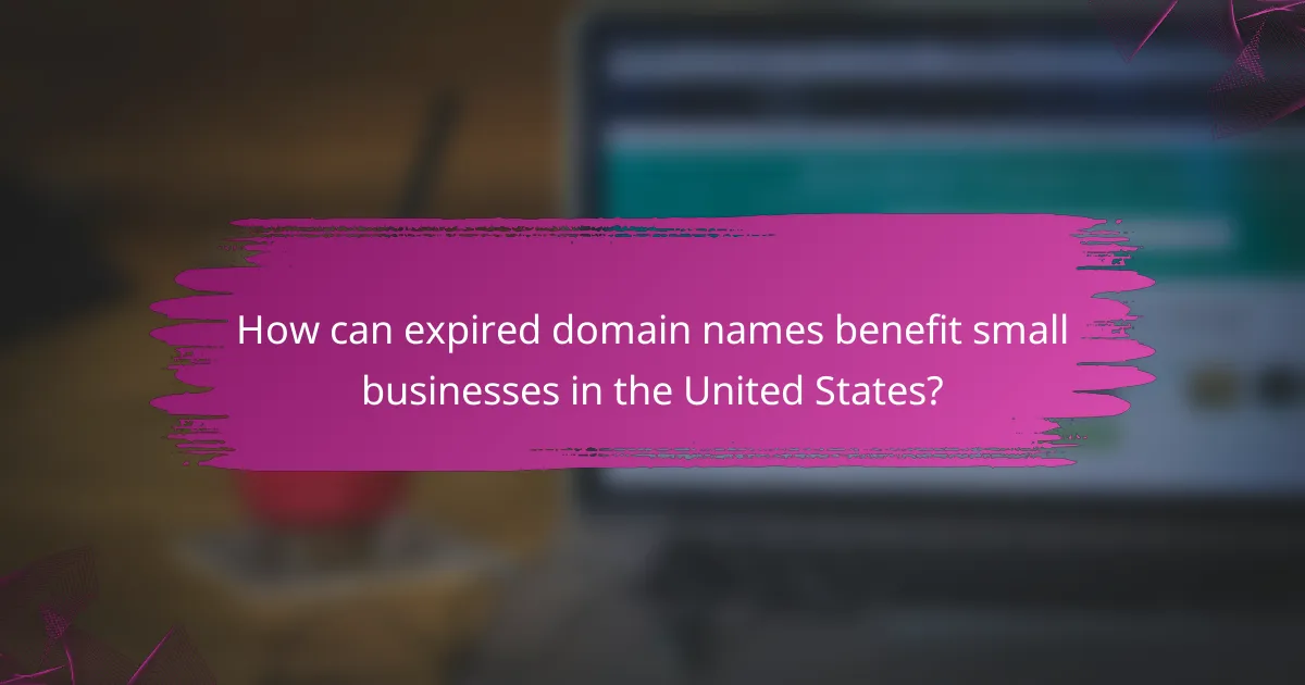 How can expired domain names benefit small businesses in the United States?