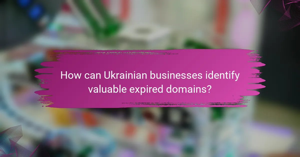 How can Ukrainian businesses identify valuable expired domains?