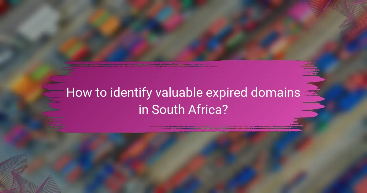 How to identify valuable expired domains in South Africa?