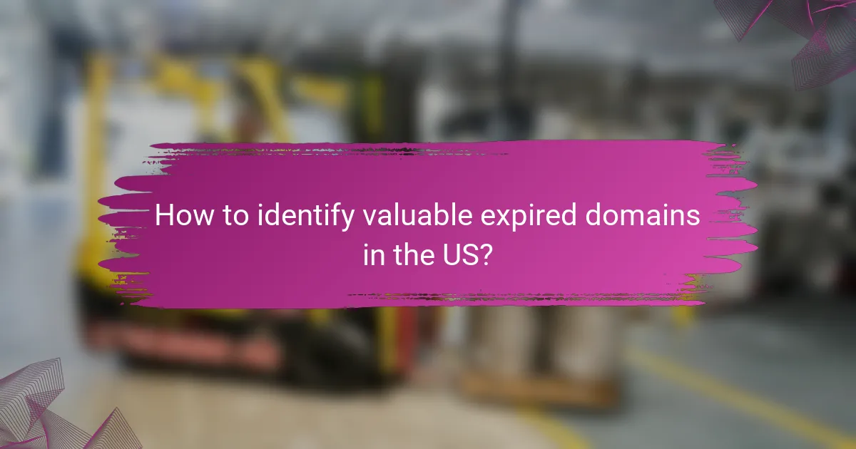 How to identify valuable expired domains in the US?