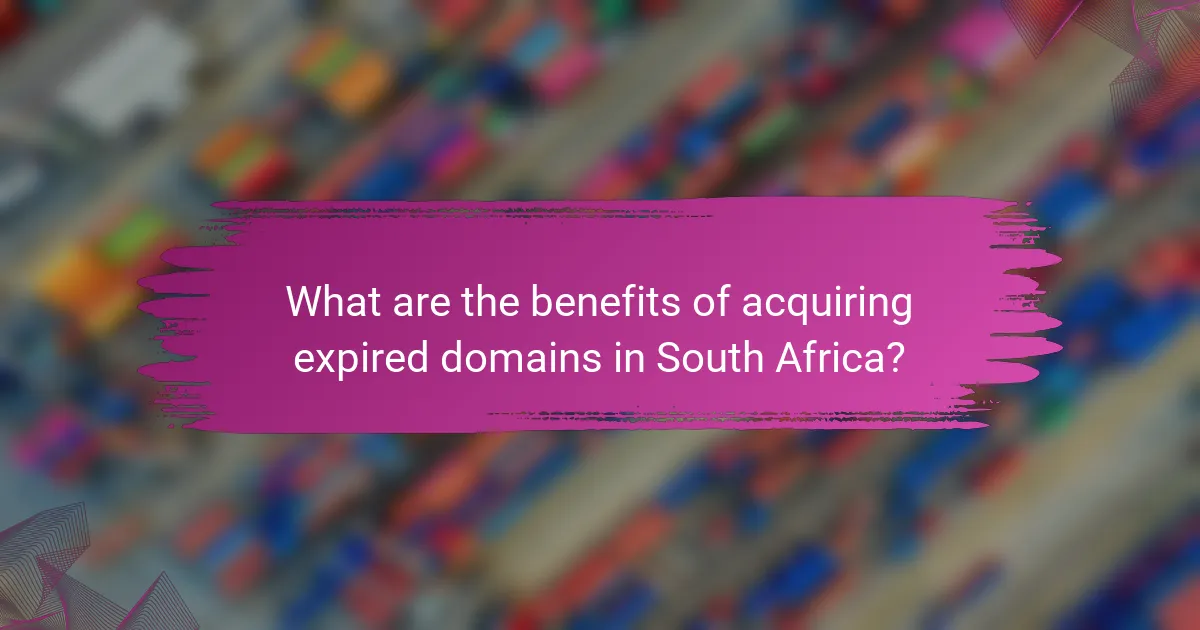 What are the benefits of acquiring expired domains in South Africa?