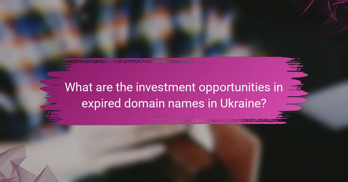 What are the investment opportunities in expired domain names in Ukraine?